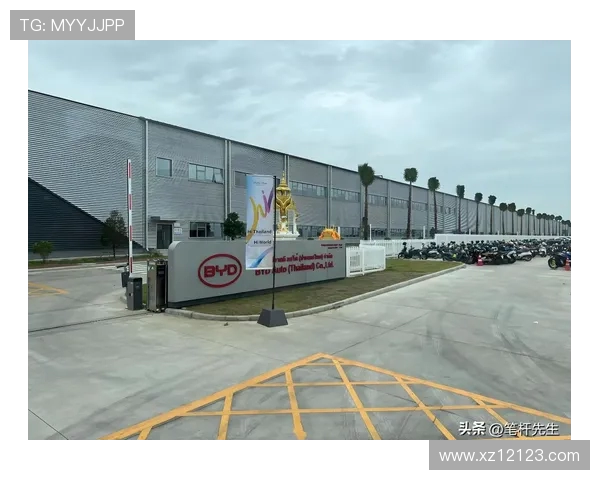 法兰克福高层访问中国与比亚迪洽谈9000万欧球场冠名合作